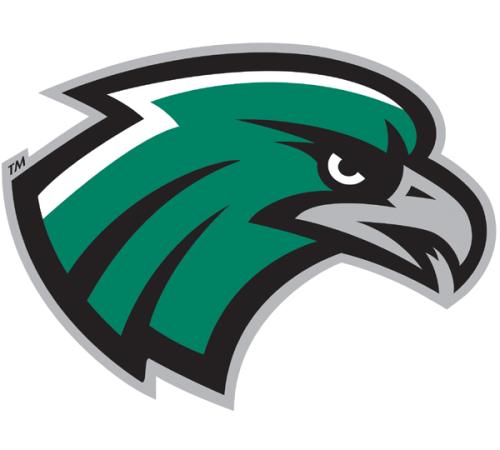 Northeastern State RiverHawks logo iron on transfers for clothing